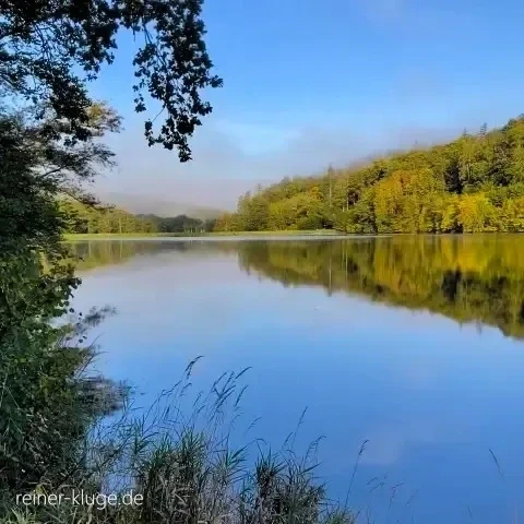 Schloss Wilhelmsthal Park
